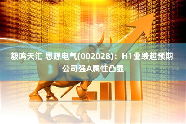 毅鸣天汇 思源电气(002028)：H1业绩超预期 公司强Α属性凸显