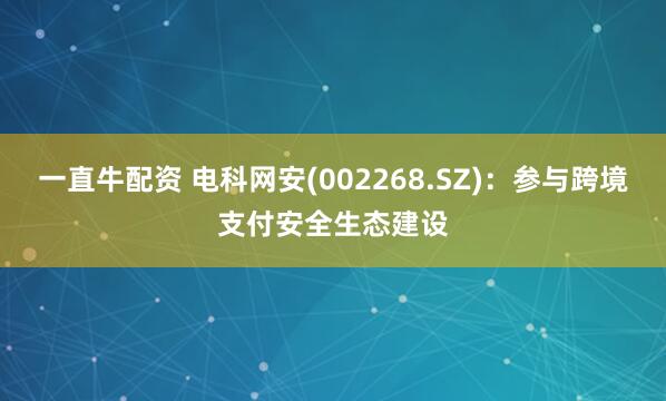 一直牛配资 电科网安(002268.SZ)：参与跨境支付安全生态建设