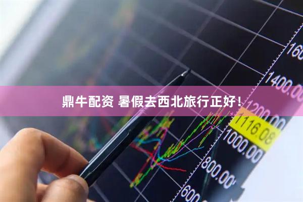 鼎牛配资 暑假去西北旅行正好！