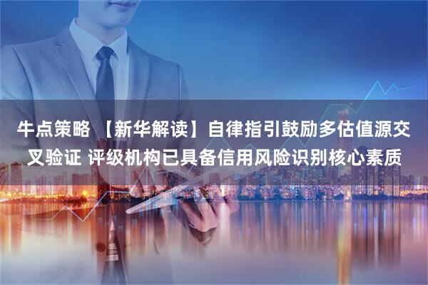牛点策略 【新华解读】自律指引鼓励多估值源交叉验证 评级机构已具备信用风险识别核心素质